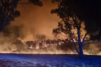 Fire Destroys Multiple Properties in Adelaide Hills, Emergency Services Respond