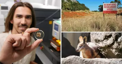 Fossil Teeth Reveal Ancient Rock Wallabies Roamed Far, Impacting Modern Conservation