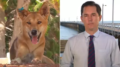 Fraser Coast Mayor Calls for Child Camping Ban on K'gari After Teen Death