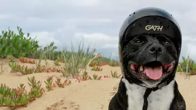 Geelong Advertiser readers showcase region's beauty in stunning photo competition