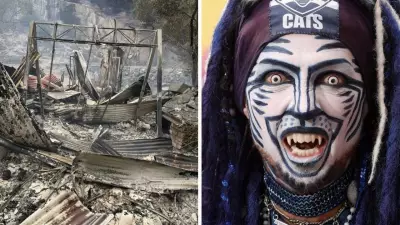 Geelong's 'Catman' Devastated as Fire Destroys Beloved Catcave Sanctuary