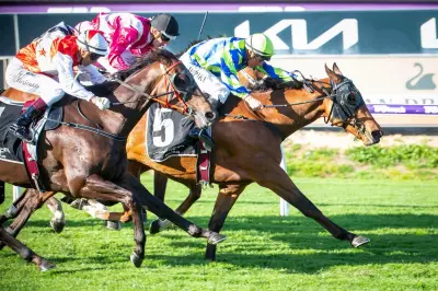 Grant and Alana Williams: Stable Stars Watch Me Rock and Storyville Cleared to Race