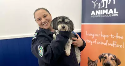 Heatwave Warning: Why Leaving Pets in Cars is a 'Preventable Tragedy'