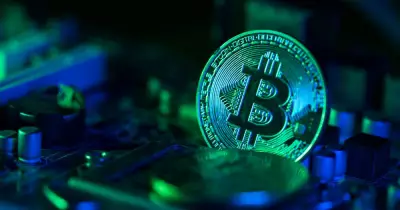 How Cryptocurrency is Reshaping New Zealand's Business Landscape in 2026