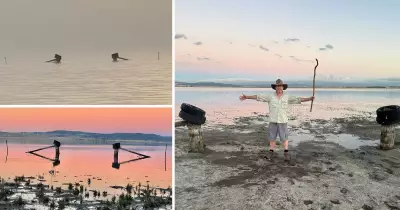 Lake George's Dramatic Decline: Water Levels Plummet Over a Metre Since 2022 Peak