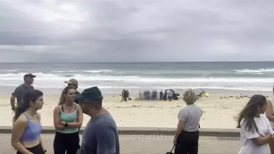 Man in Critical Condition After Sydney Shark Attack, Third Incident in Two Days