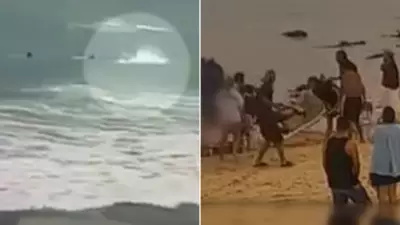 Manly Beach Shark Attack: Surfer Dragged Under in Terrifying Footage