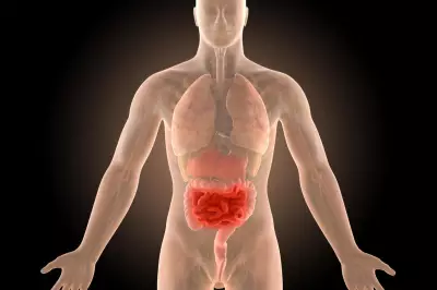 NeuroScientific Soars 52% as StemSmart Therapy Shows Promise in Crohn's Patients