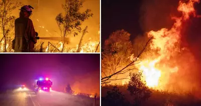 Overnight Grass Fire Battled on Hunter Expressway Near Buchanan