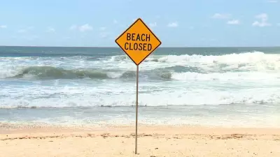 Perfect Storm Conditions Blamed for NSW Shark Attack Cluster