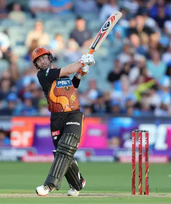Scorchers Withdraw Josh Inglis from BBL Clash Due to CA Management Plan
