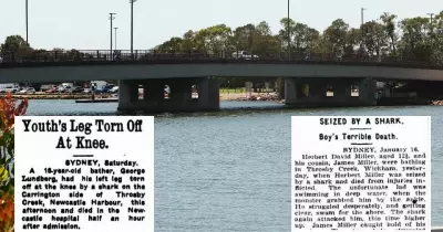 Sharks Still Lurk in Newcastle's Popular Waterways, Historical Attacks Reveal