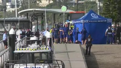 Sydney Harbour shark attack: 12-year-old fights for life after vicious bite