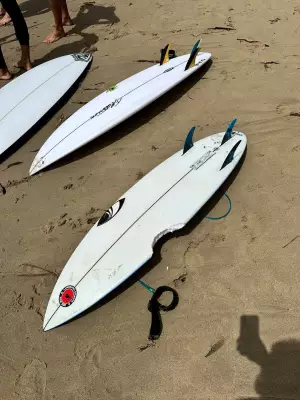 Sydney shark attacks: 11-year-old escapes unharmed, 12-year-old hospitalised