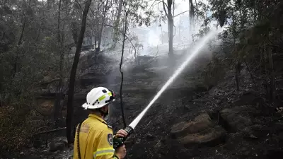 WA Firefighters Find Two Joey Survivors Under Burnt Tree After Boddington Blaze