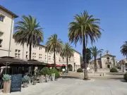 Aigues-Mortes: Discover France's Medieval Gem & Pink Flamingos