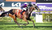 Angel Undercover Aims to Shed Bridesmaid Tag in $100,000 Mandurah Cup