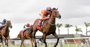 Big Red Tequila Poised for Victory at Kensington Despite Wet Track