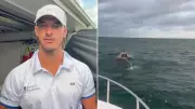 Brisbane Fishermen Hailed as Heroes After Shark-Infested Water Rescue