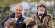 Bundanoon Duo's $10m Plan to Reintroduce Koalas to Southern Highlands
