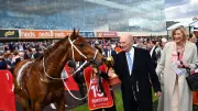 Champion Horse Durston Dies in Paddock Accident After Historic Caulfield Cup Win