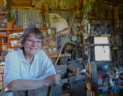 French Island: Victoria's Hidden Time Capsule Where Koalas Outnumber People