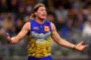 Garry Lyon Questions Brayshaw's Victoria AFL Origin Spot, Backs Harley Reid
