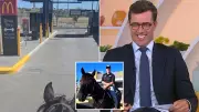 Horse named Bronson goes viral after NSW McDonald's drive-thru soft serve