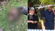 Human Remains Unearthed at Phillip Island Holiday Home During Plumbing Works