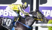 Jaz Session Claims Maiden Listed Victory at Ascot, Echoing Scenic Blast's Legacy