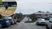 Lost Kangaroo Navigates Traffic in Heart of Barwon Heads
