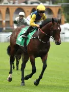 Magic Millions Favourite Warwoven Lame Ahead of $3M Classic