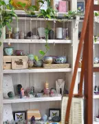 Mandurah Crystal Boutique Botanical H20 Announces One-Month Renovation Closure