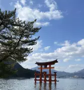 Miyajima Island: A Jurassic Park Escape Near Hiroshima