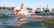 Newcastle Harbour Swim Proceeds with Enhanced Safety After NSW Shark Attacks