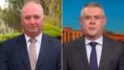 One Nation Surges to Second Place in Shocking Newspoll, Overtaking Coalition