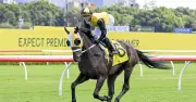 Randwick Race Day Preview: Expert Tips for Saturday's Ten-Race Card