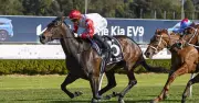 Snowden Predicts Major Bounce Back for Infusion at Warwick Farm
