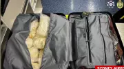 Sydney Woman Charged Over $36M Airport Drug Smuggling Attempt