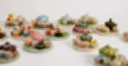 The Mesmerising World of Tiny Pots: Canberra Artist's Miniature Mastery