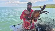 Townsville YouTuber's Giant Mud Crab Catch Stuns Local Fishing Community