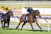 War Machine's Warwoven Faces Avalanche of Debt Ahead of Magic Millions