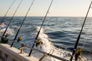 WA's Fishing Future: The Urgent Need for a Balanced Policy