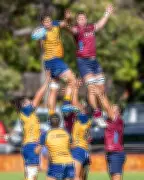 Western Force's Will Harris Lauds New Assistant Coaches' Immediate Impact