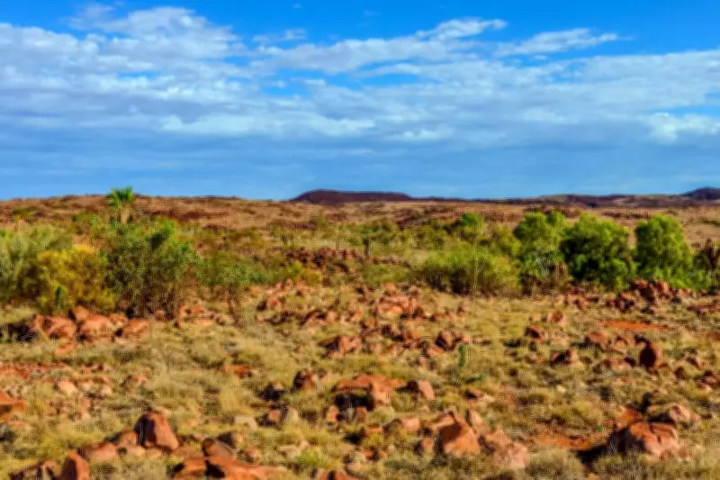 Corazon Mining Nears Maiden Drilling at Two Pools Gold Project in WA