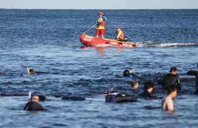 Abalone Fishing Session Cancelled in WA Due to Dangerous Weather Conditions