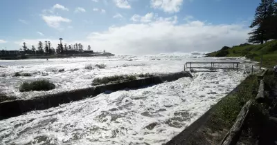 Bull Shark Spotted Near Kiama Prompts Safety Alert for Illawarra Swimmers