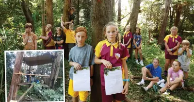 Bulli Treehouse Demolition Sparks Community Debate Over Children's Play