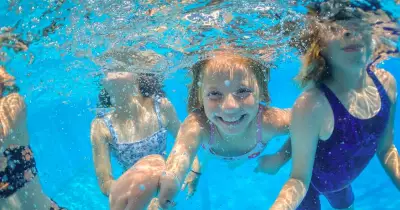 Civic Dive Pool Relocation Sparks Debate Over Urban Planning and Heritage