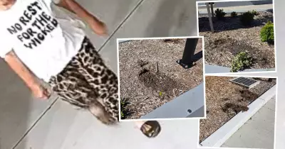 Elderly Woman Charged After Alleged Plant Theft Spree from Lake Macquarie Business Garden